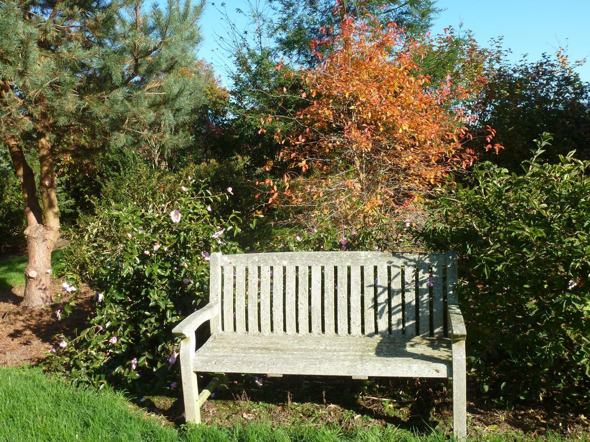 לינה וארוחת בוקר ולונס Manoir De Savigny מראה חיצוני תמונה